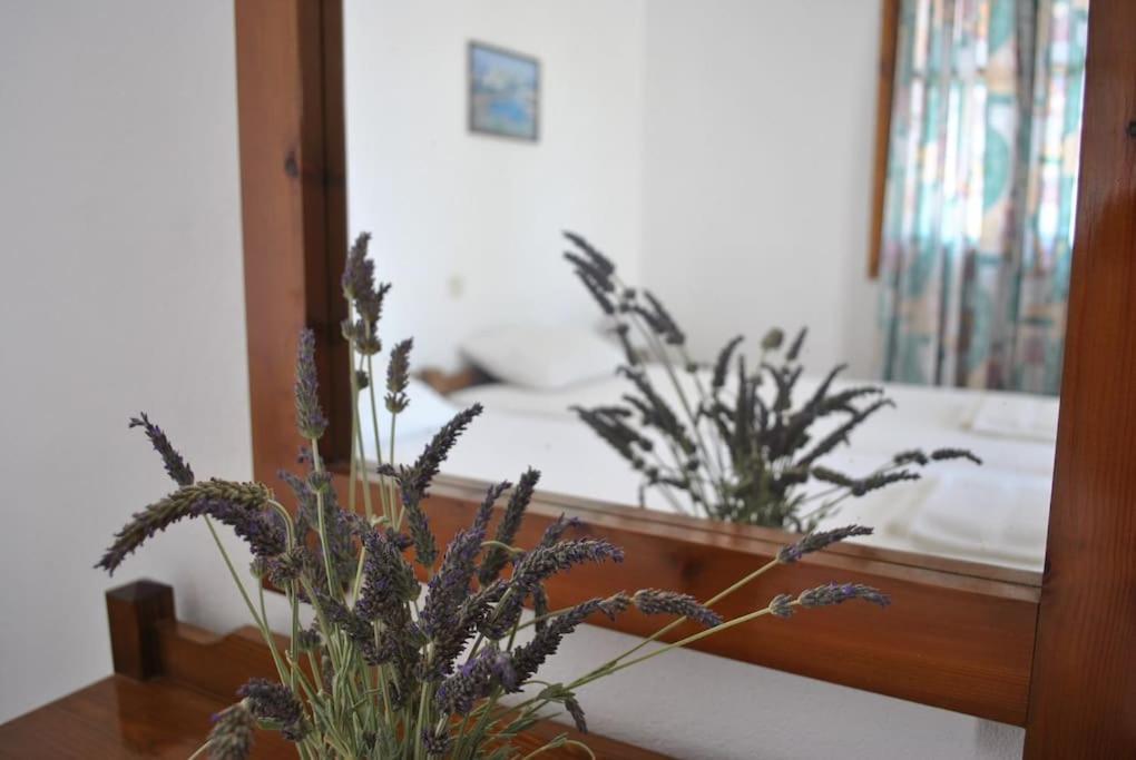 Antigoni Apartments 'Lavender Room' Milatos Bagian luar foto