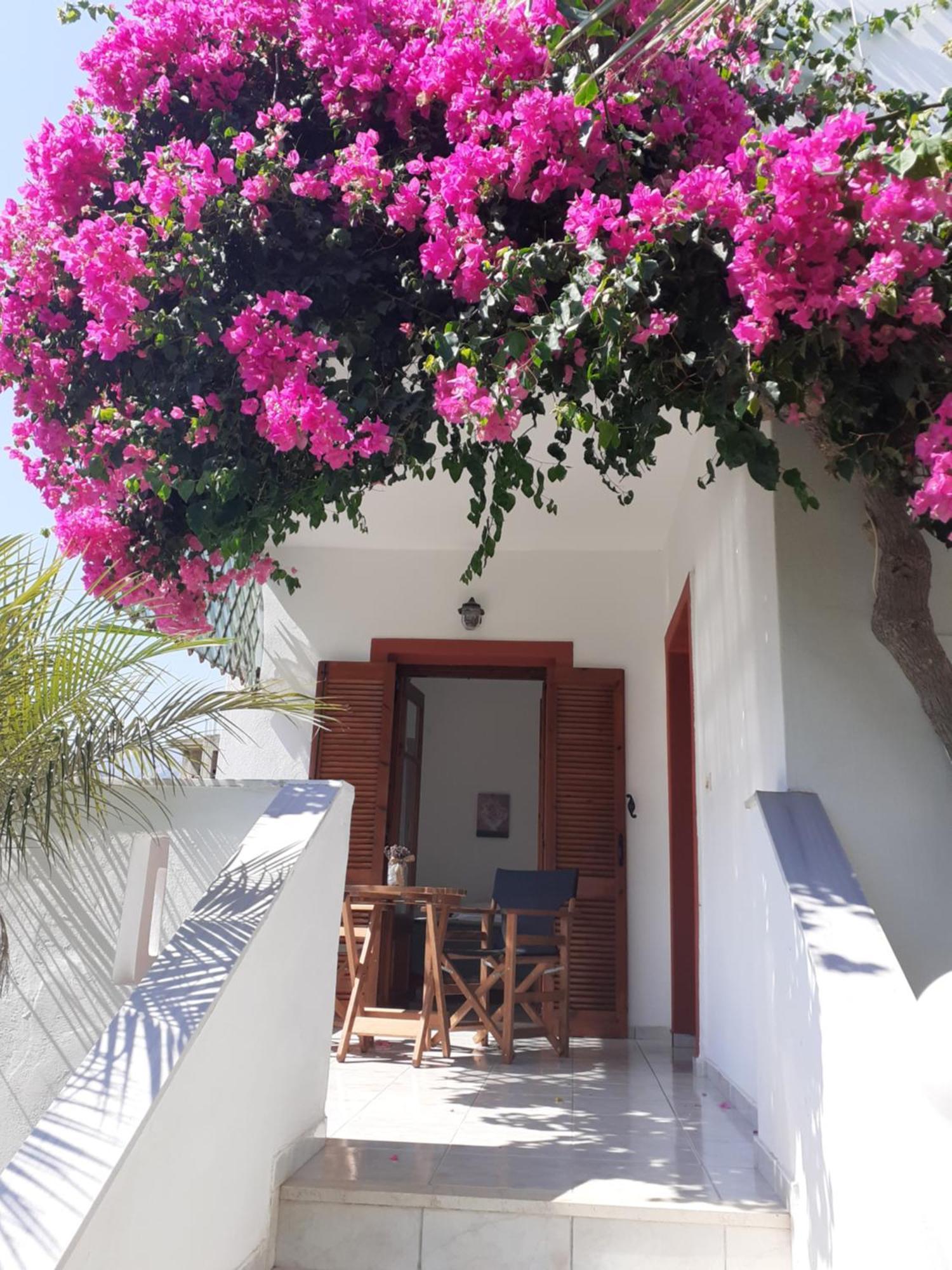 Antigoni Apartments 'Lavender Room' Milatos Bagian luar foto